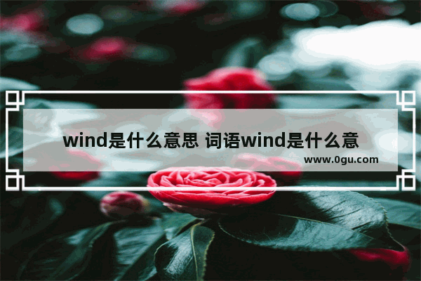 wind是什么意思 词语wind是什么意思