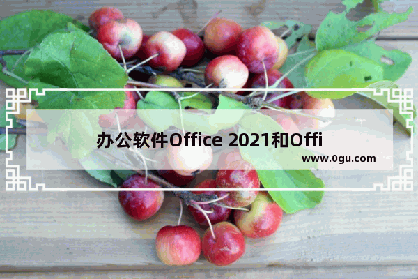 办公软件Office 2021和Office 365哪一个最好用？