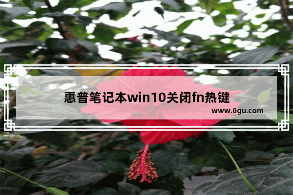 惠普笔记本win10关闭fn热键