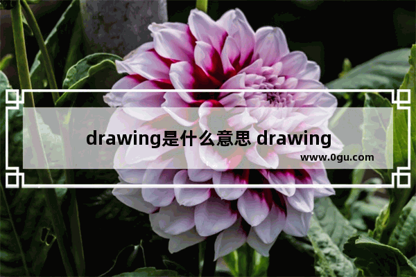 drawing是什么意思 drawing解释