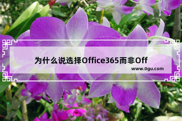 为什么说选择Office365而非Office2016专业版