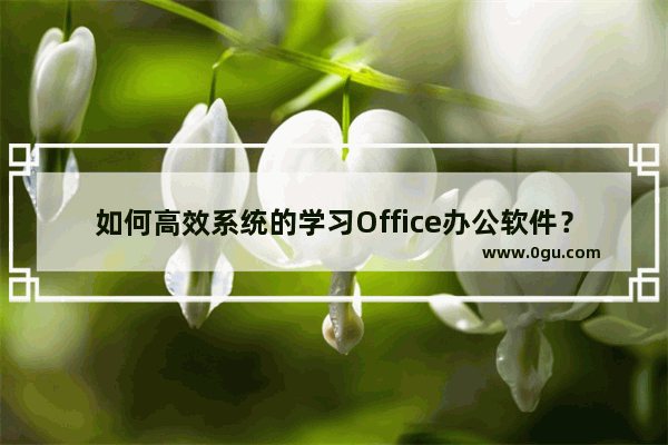 如何高效系统的学习Office办公软件？