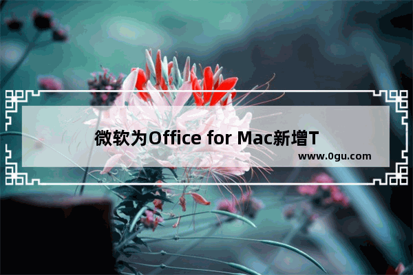 微软为Office for Mac新增Touch Bar支持