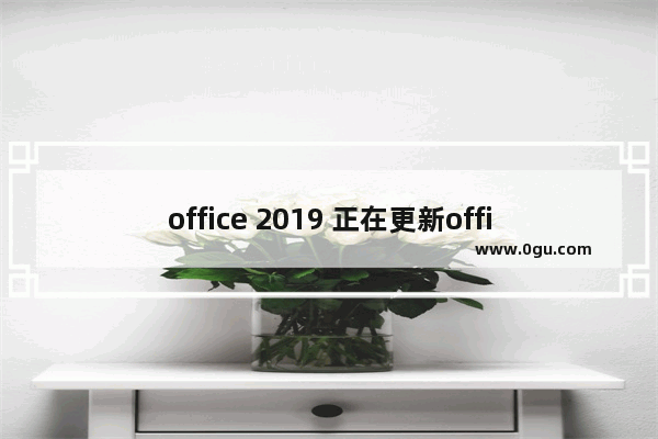 office 2019 正在更新office请稍后 0x0000142 应用程序无法正常启动