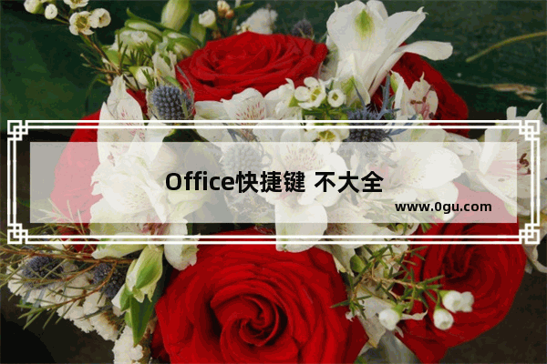 Office快捷键 不大全