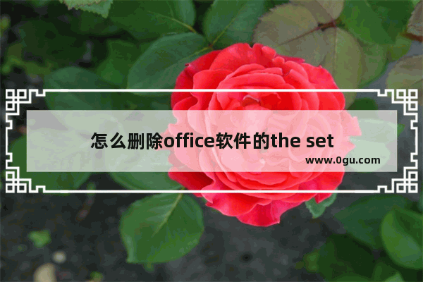 怎么删除office软件的the setup controller文件夹