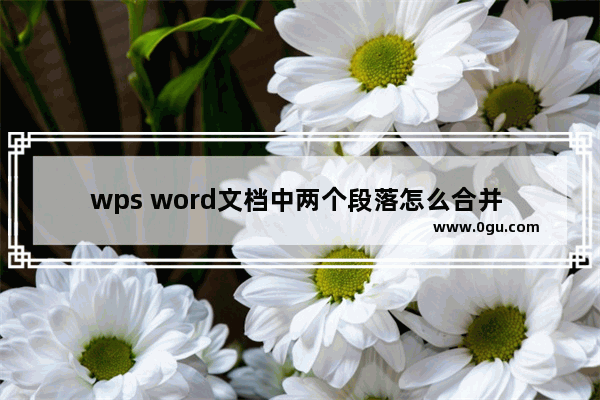 wps word文档中两个段落怎么合并 WPS Word合并段落内容的方法