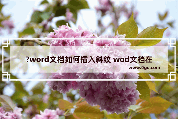 ?word文档如何插入斜纹 wod文档在页面上插入斜纹的方法