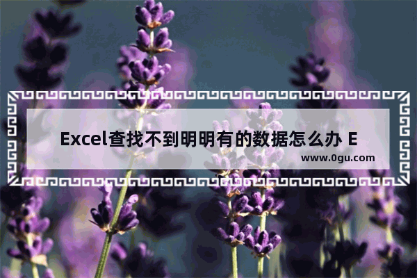 Excel查找不到明明有的数据怎么办 Excel查找不到明明有的数据的解决方法