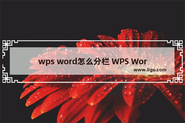 wps word怎么分栏 WPS Word文档段落分成两栏显示的方法教程