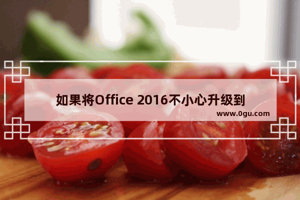 如果将Office 2016不小心升级到了2019，后悔了如何将Office退回到2016