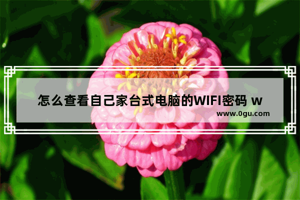 怎么查看自己家台式电脑的WIFI密码 wifi密码忘了怎么办