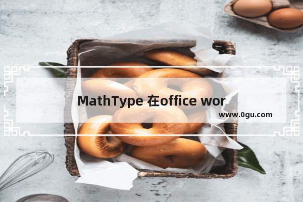 MathType 在office word中的应用实例教程