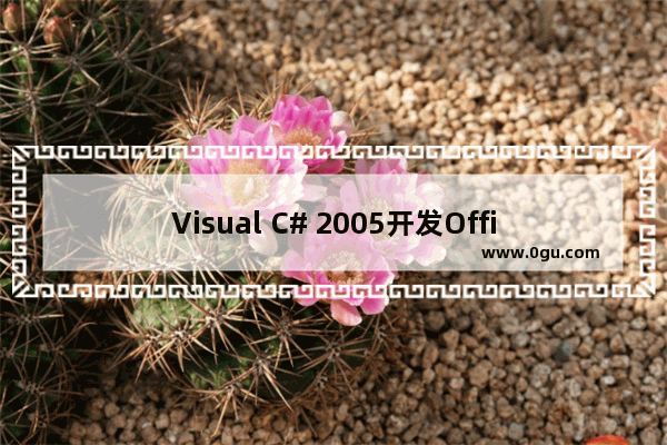 Visual C# 2005开发Office外接程序