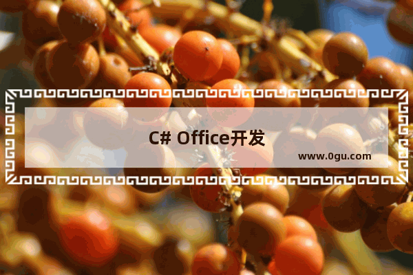 C# Office开发