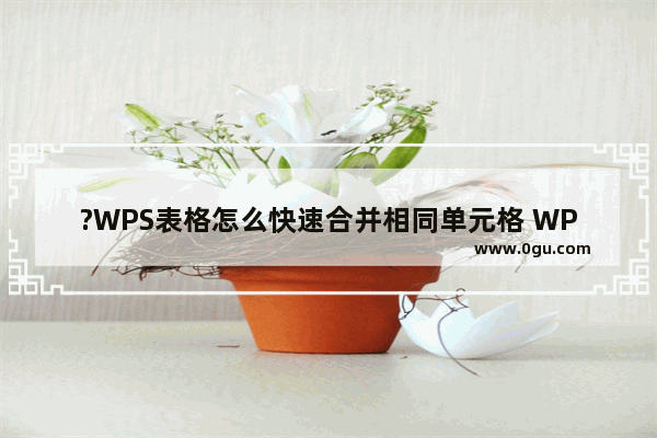 ?WPS表格怎么快速合并相同单元格 WPS表格合并具有相同内容的多个单元格的方法教程