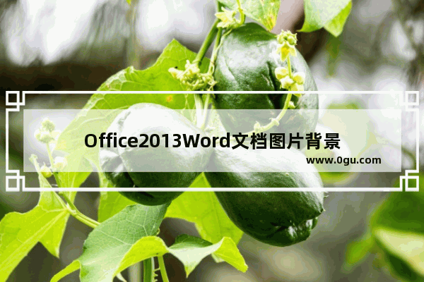 Office2013Word文档图片背景怎么设置