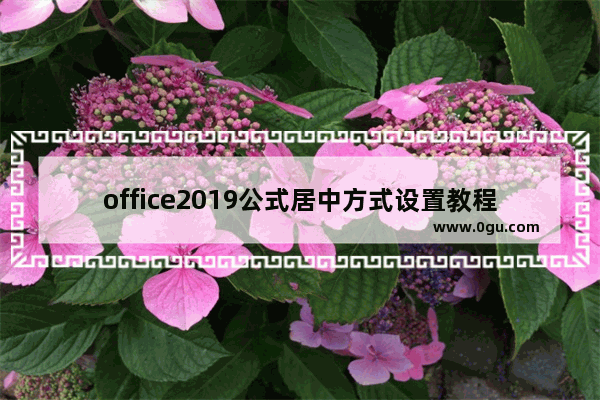 office2019公式居中方式设置教程