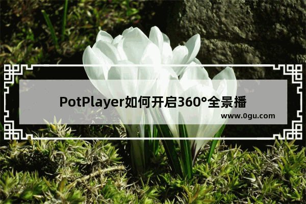 PotPlayer如何开启360°全景播放功能 PotPlayer360°全景播放的方法