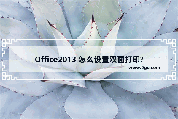 Office2013 怎么设置双面打印?