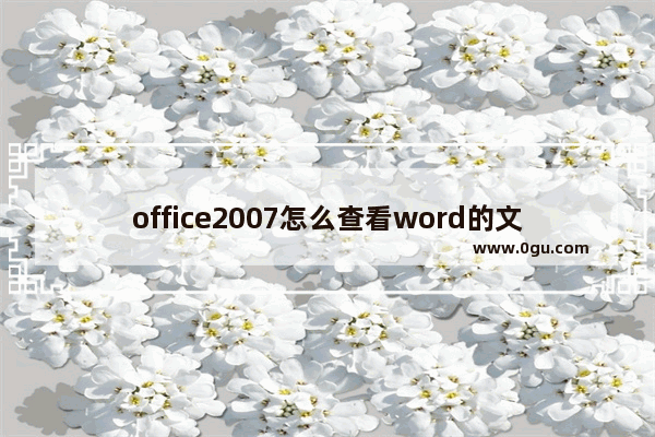 office2007怎么查看word的文档页数字数