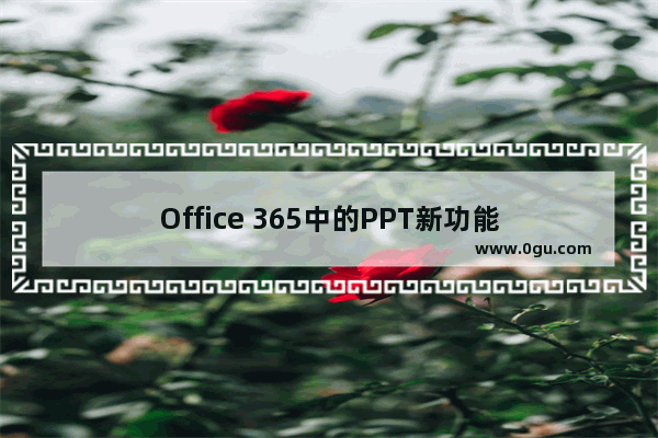 Office 365中的PPT新功能