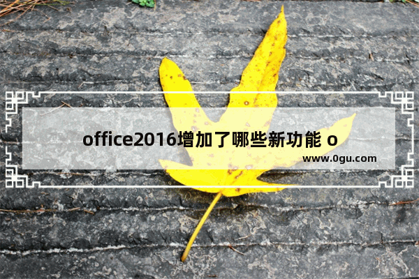 office2016增加了哪些新功能 office2016新功能一览