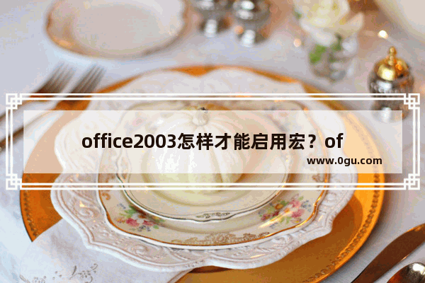 office2003怎样才能启用宏？office2003启用宏的图文教程