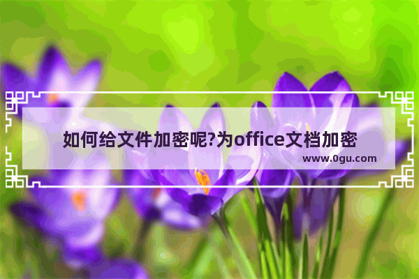 如何给文件加密呢?为office文档加密保护方法