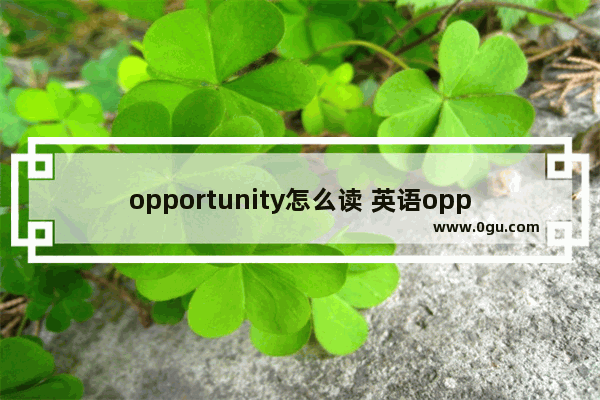 opportunity怎么读 英语opportunity怎么读