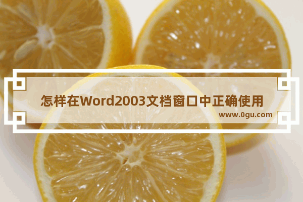 怎样在Word2003文档窗口中正确使用Office助手