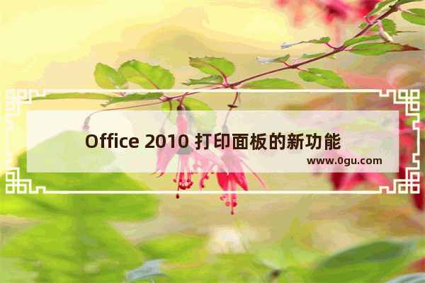 Office 2010 打印面板的新功能介绍