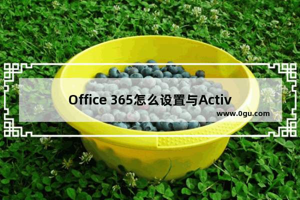 Office 365怎么设置与Active Directory同步?