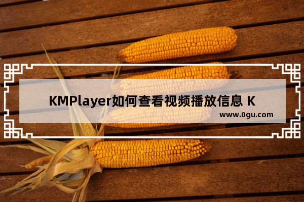 KMPlayer如何查看视频播放信息 KMPlayer查看视频播放信息的方法