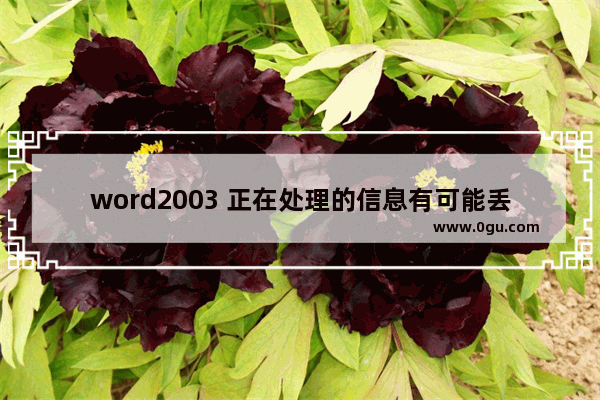 word2003 正在处理的信息有可能丢失，Microsoft Office Word可以尝试为您恢复只能用安