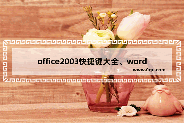 office2003快捷键大全、wordexcel2003快捷键