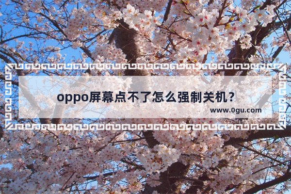 oppo屏幕点不了怎么强制关机？