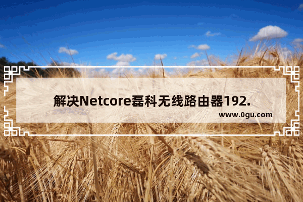 解决Netcore磊科无线路由器192.168.1.1打不开的方法