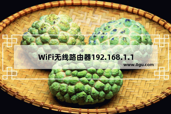 WiFi无线路由器192.168.1.1网址不能登录怎么办？