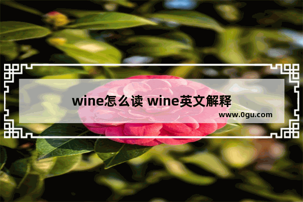 wine怎么读 wine英文解释