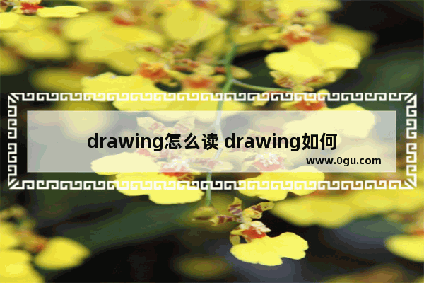 drawing怎么读 drawing如何读