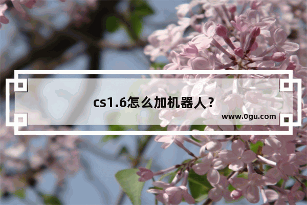 cs1.6怎么加机器人？