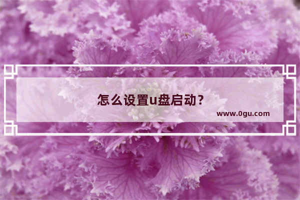 怎么设置u盘启动？