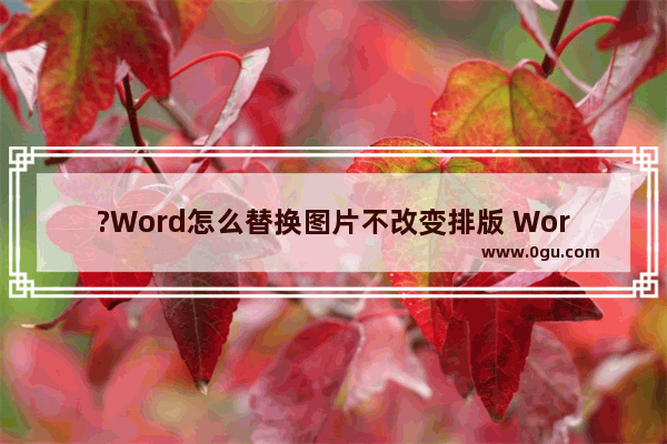 ?Word怎么替换图片不改变排版 Word文档中替换图片保持格式不变的方法教程