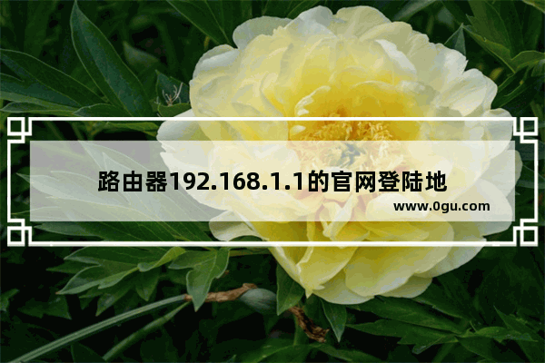 路由器192.168.1.1的官网登陆地址查看方法