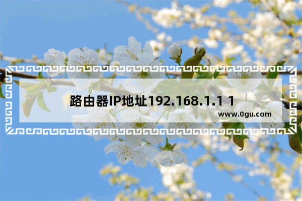 路由器IP地址192.168.1.1 192.168.0.1使用