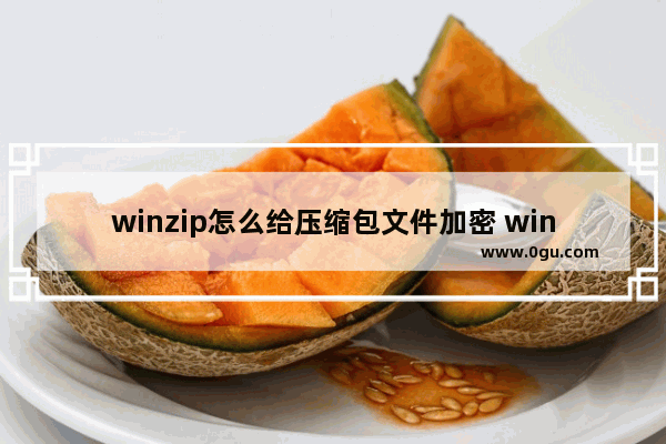 winzip怎么给压缩包文件加密 winzip给压缩包文件进行加密的设置方法