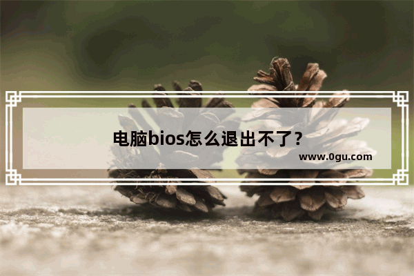 电脑bios怎么退出不了？