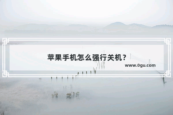 苹果手机怎么强行关机？