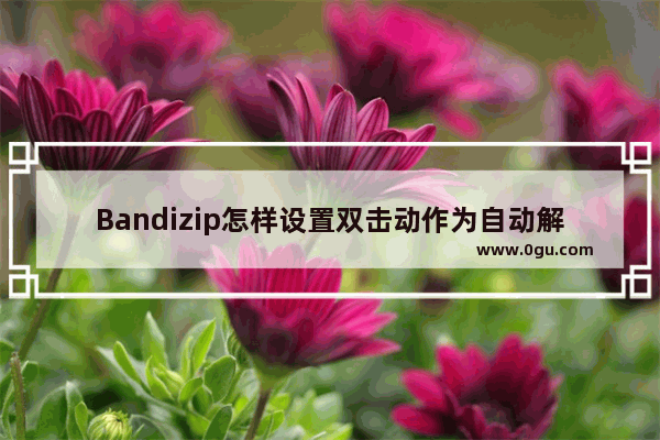 Bandizip怎样设置双击动作为自动解压 bandizip设置鼠标双击压缩包就自动解压的方法